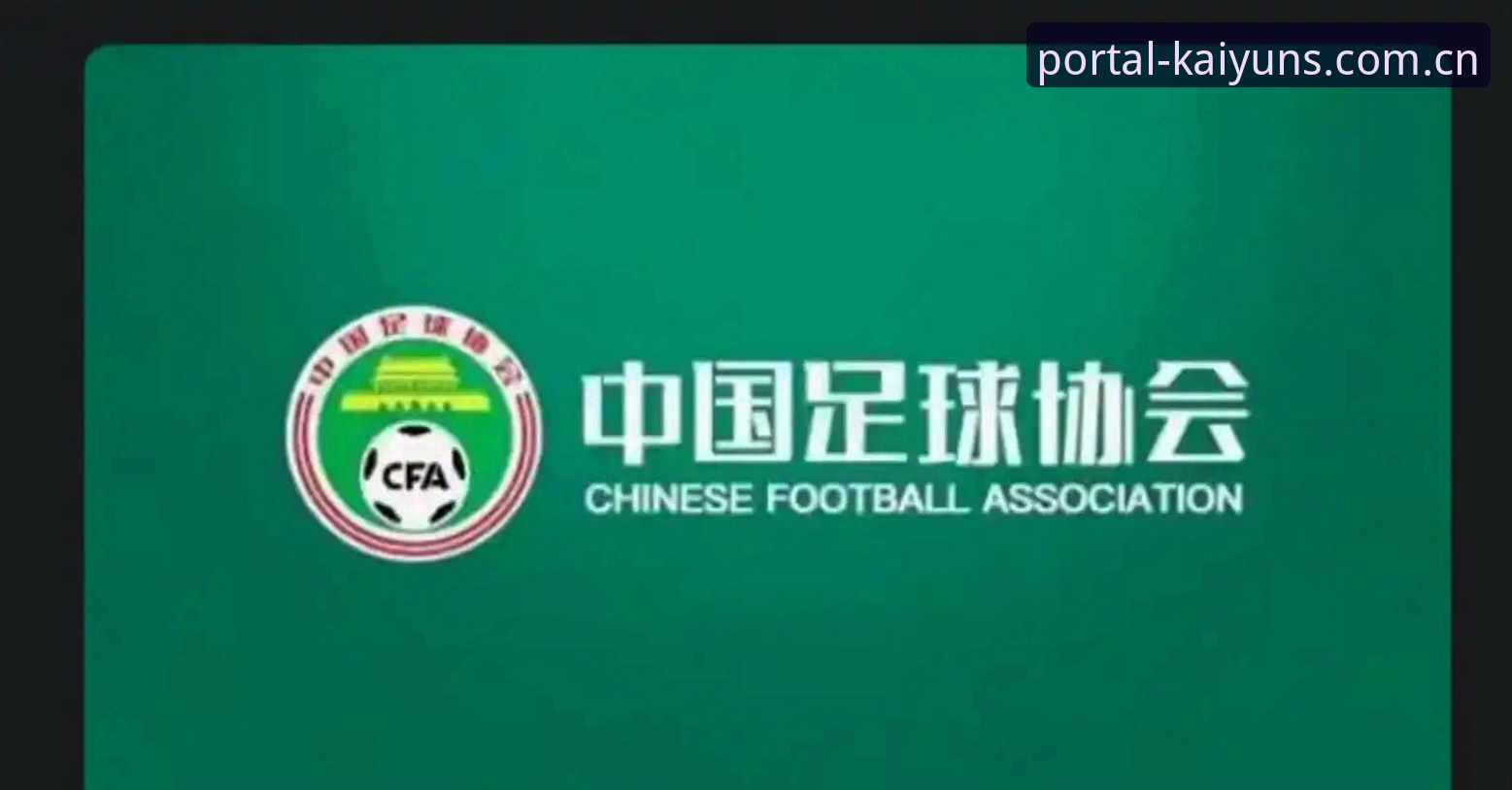 中国足球行业整顿使用指南——从禁足名单看行业自律与未来趋势